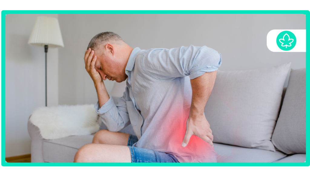 15 Best Marijuana Strains for Chronic Pain
