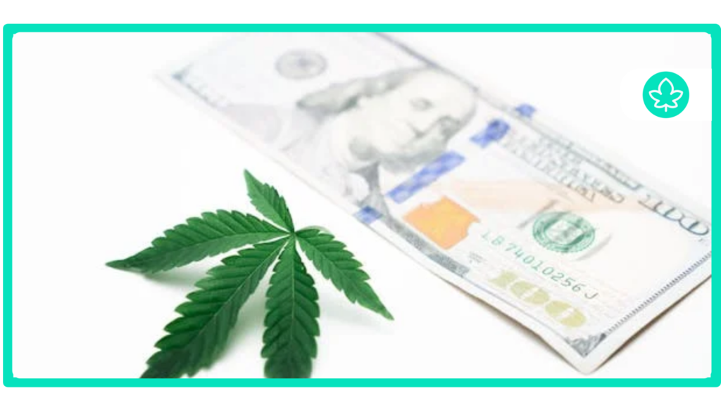 How Much Does it Cost to Get a Medical Marijuana Card?
