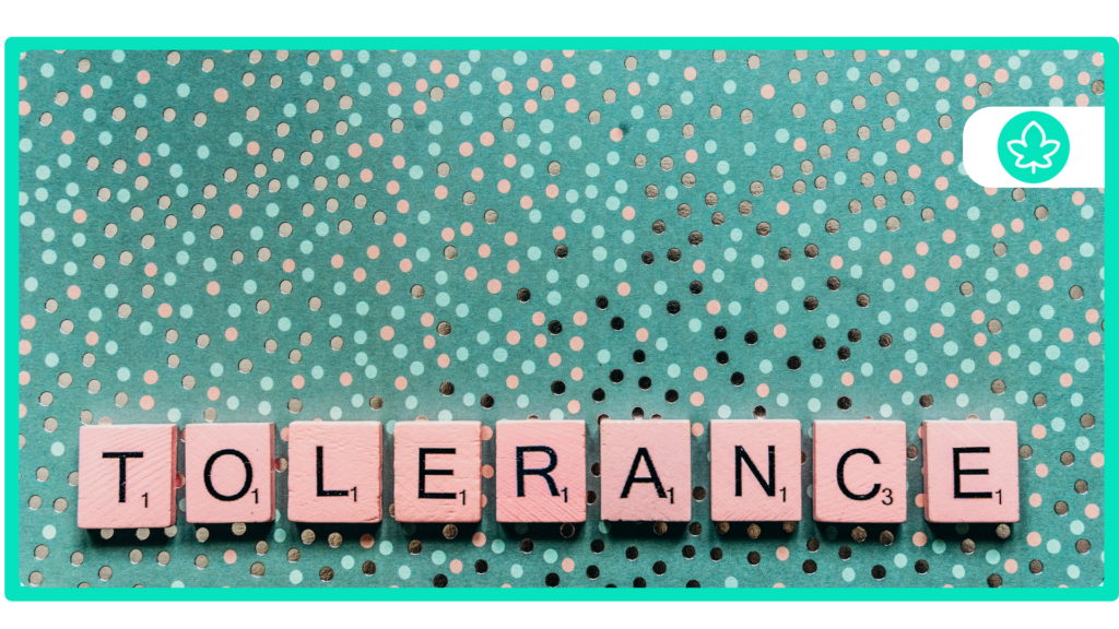 When to Take a Marijuana Tolerance Break