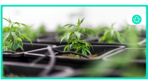 What is 710 Things to Know about Them