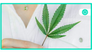 Can I Visit A Dispensary In Illinois Without A Medical Marijuana Card