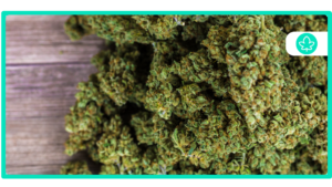 Do You Need a Medical Card for CBD Products?