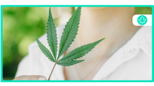 Medical Marijuana And Concealed Carry Permits: Everything You Need To Know In 2024!