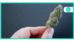 What Exactly Is A 329 Card And Why Should You Get One?