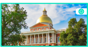 Cheapest medical marijuana doc recert Massachusetts