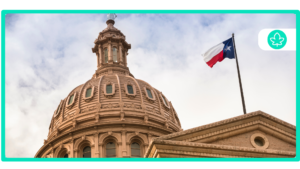 How To Get A $20 Medical Card Online Texas