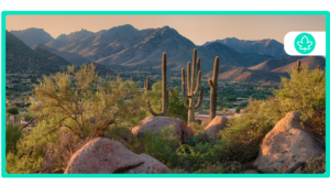 How to get a $20 medical card online in Arizona