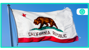 How to get a $20 medical card online in California