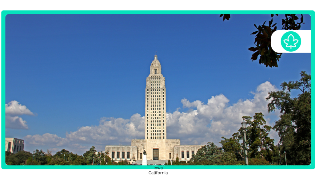 How to get a $20 medical card online in Louisiana