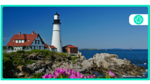 How to get a $20 medical card online in Maine