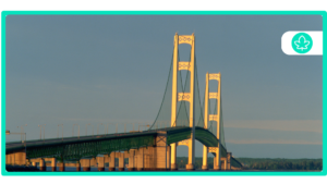 How to get a $20 medical card online in Michigan