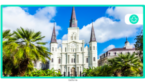 How to get a $20 medical card online in New Orleans, LA