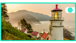 How to get a $20 medical card online in Oregon