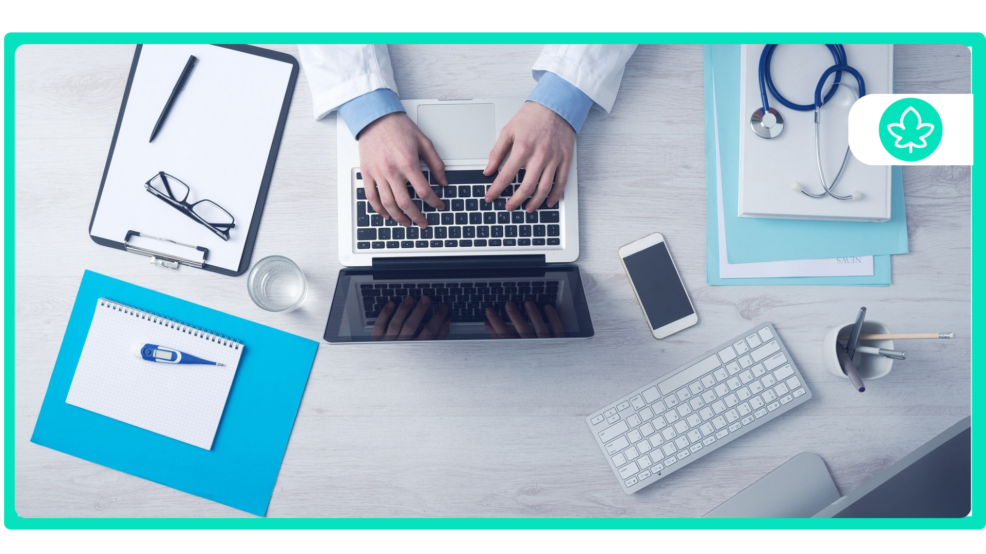 How to Identify a Fake Medical Marijuana Card