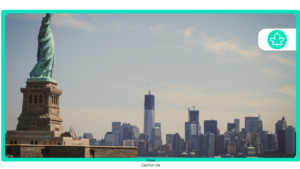 How to get a $20 medical card online in New York