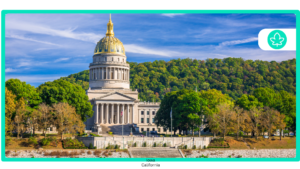 How to get a $20 medical card online near West Virginia