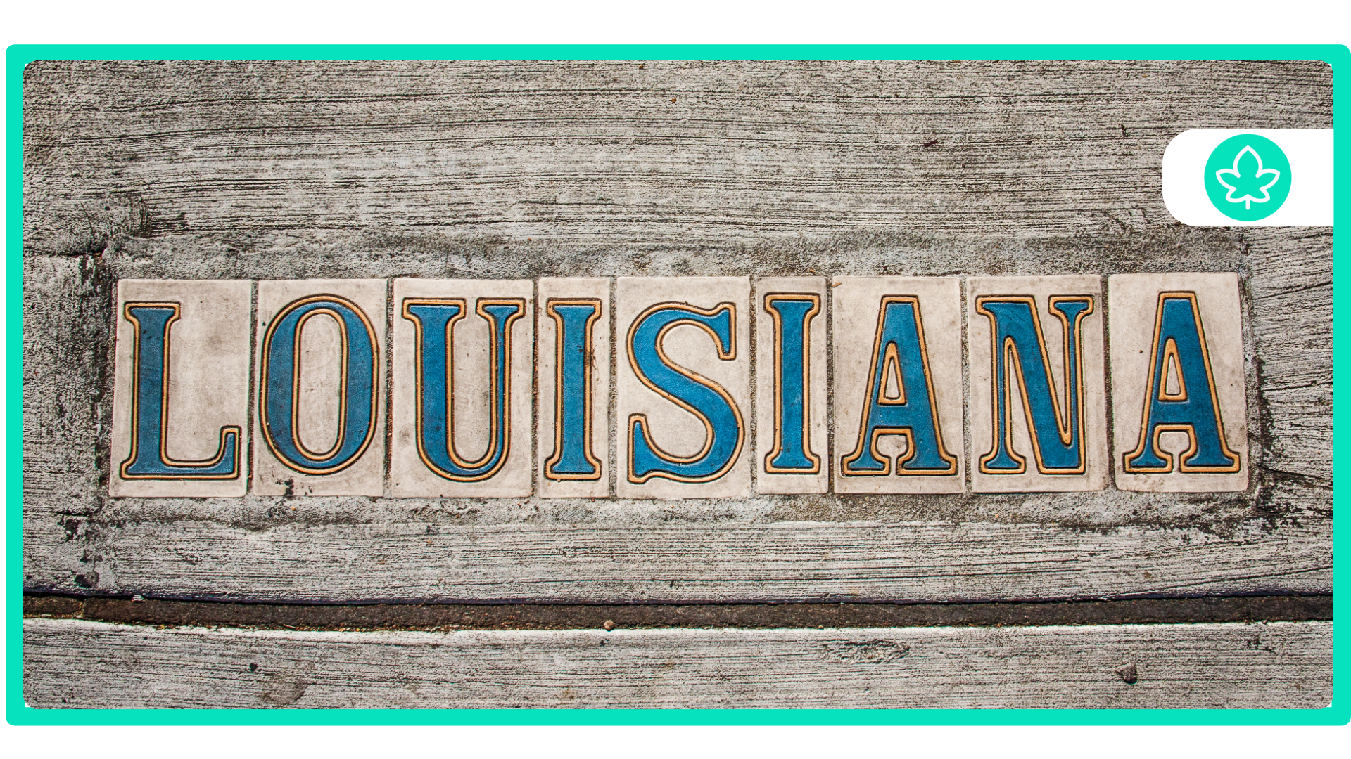 Latest Qualifying Conditions for a MMJ Card In Louisiana