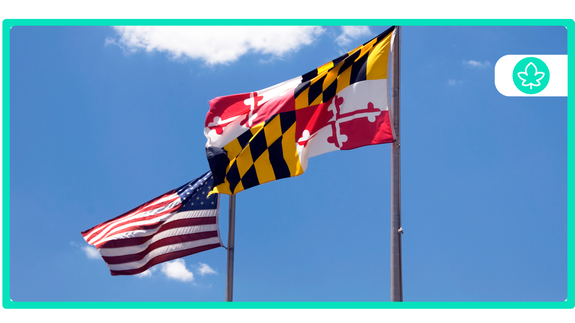 Latest Qualifying Conditions for a MMJ Card In Maryland