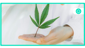 Best Cannabis Strains for Amyotrophic Lateral Sclerosis (ALS)