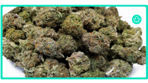 Best Cannabis Strains for PTSD/CPTSD Relief