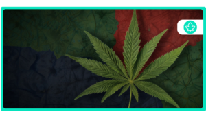 Is Marijuana Legal in Georgia State