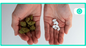 Marijuana and Zoloft Can You Mix Them