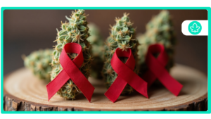 Best Cannabis Strains for HIVAIDS
