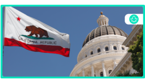 Best Hybrid Strain in California for 2025 4th of July