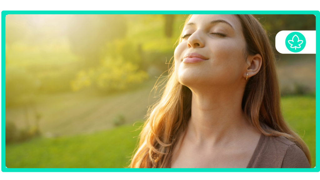 Best Pot Cannabis Strains for Relaxation