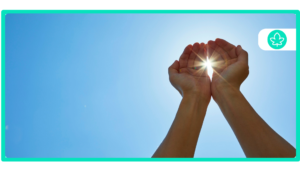 Best Sativa Cannabis Strains: Uplifting and Energizing Varieties