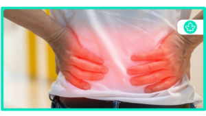 Best Strain for Degenerative Disc Disease
