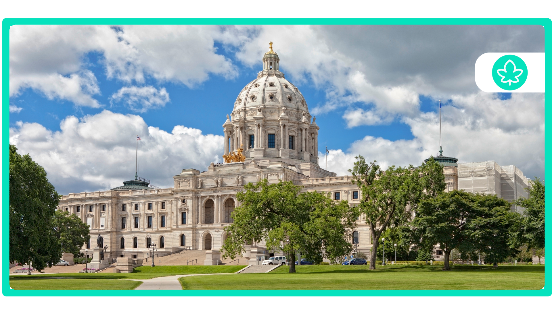 Best Cannabis Strains to Grow in Minnesota