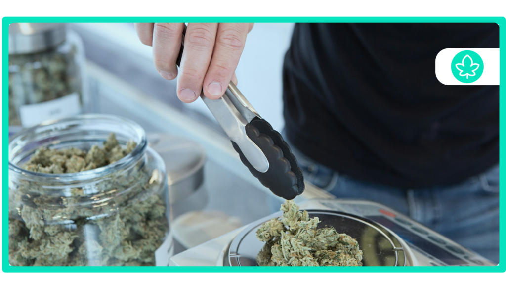Best Cresco Cannabis Strains