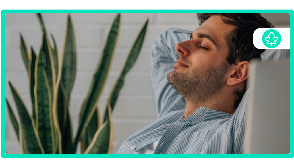 Top 10 Indica-Dominant Strains Relax, Unwind, and Enjoy