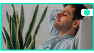 Top 10 Indica-Dominant Strains Relax, Unwind, and Enjoy
