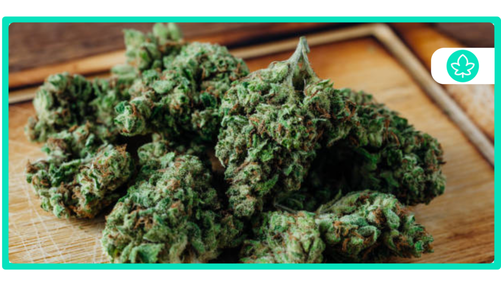 Top 10 Kush Strains The Ultimate Guide