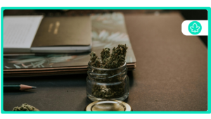 Top 10 Medical Strains with High CBD Percentage