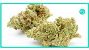 Top 10 Sweet and Fruity Cannabis Strains